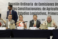 Reunión Ordinaria de Comisiones Unidas de Puntos Constitucionales, de Agricultura; y de Estudios Legislativos, Primera